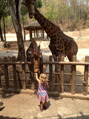 Тайланд с детьми. Зоопарк Dusit Zoo в Бангкоке