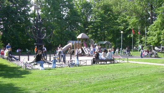 Парк Дубки В Сестрорецке Фото