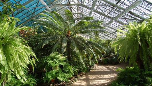 Ботанический сад Петра Великого - Workingmama